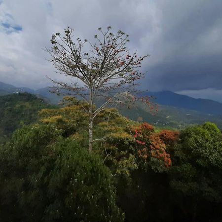Palmtree Leaf, Munnar Hotel Kültér fotó